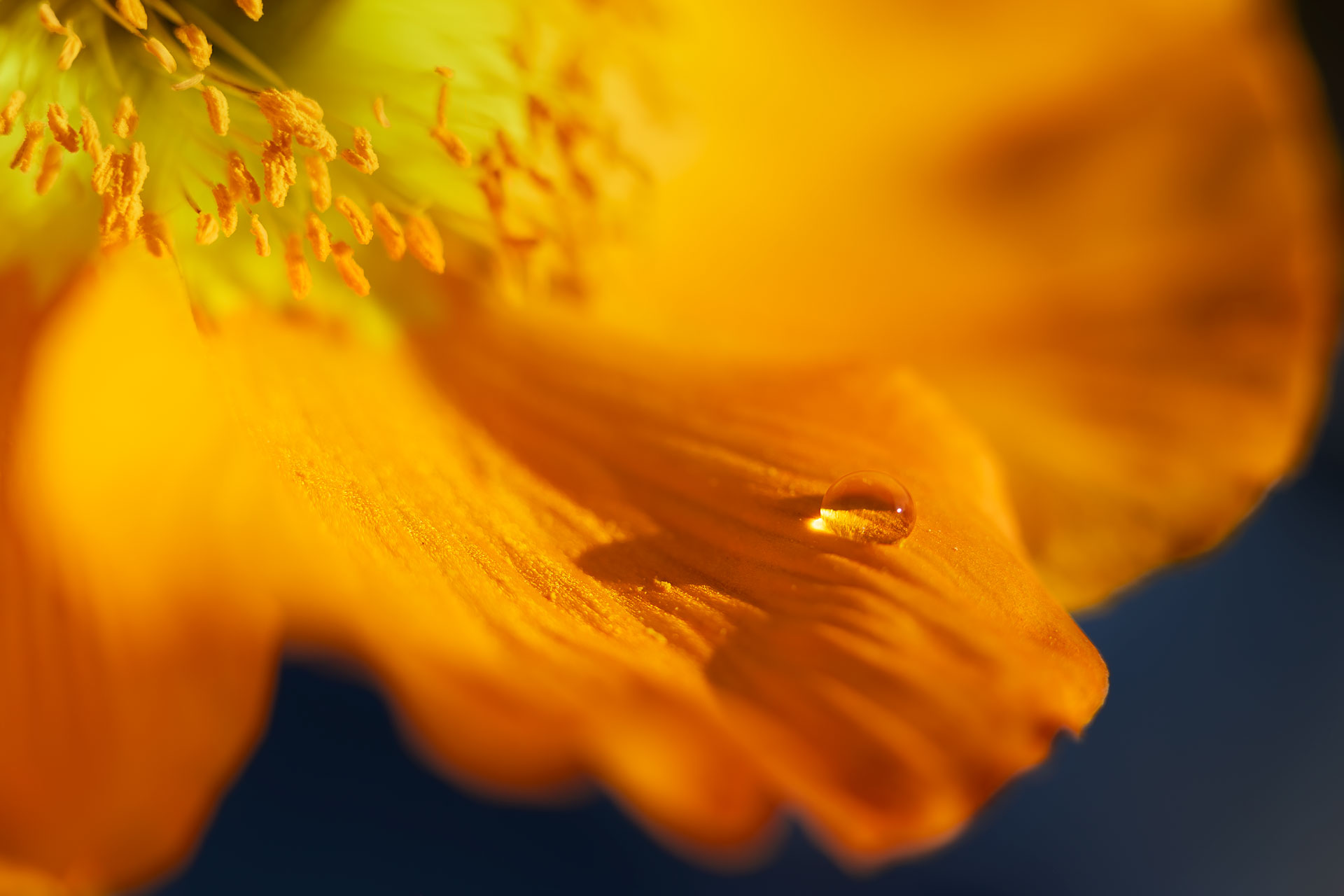 Equilibre fragile