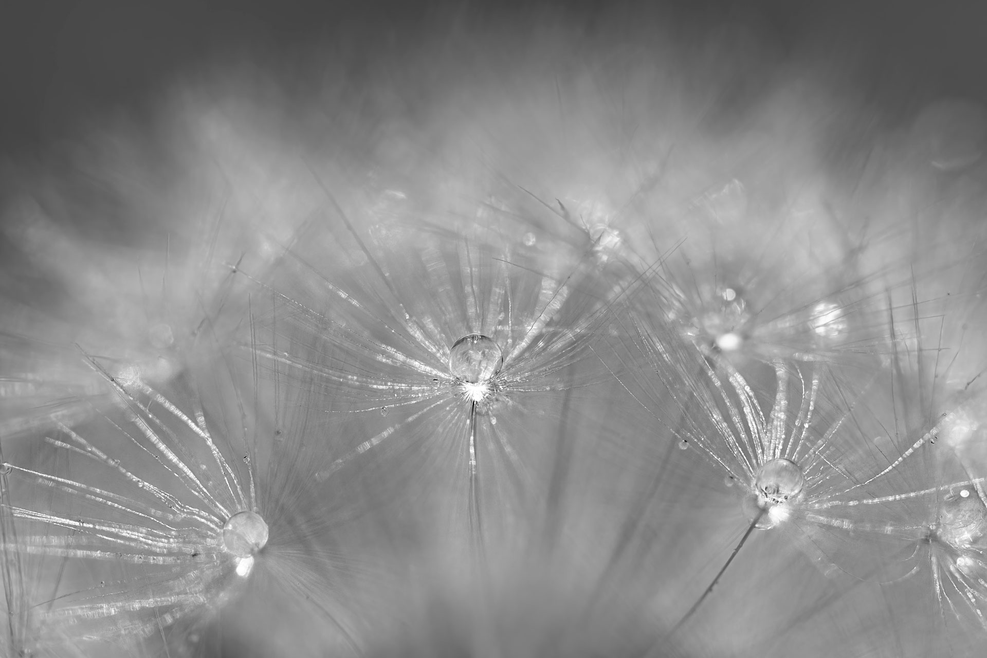 Fragiles constellations