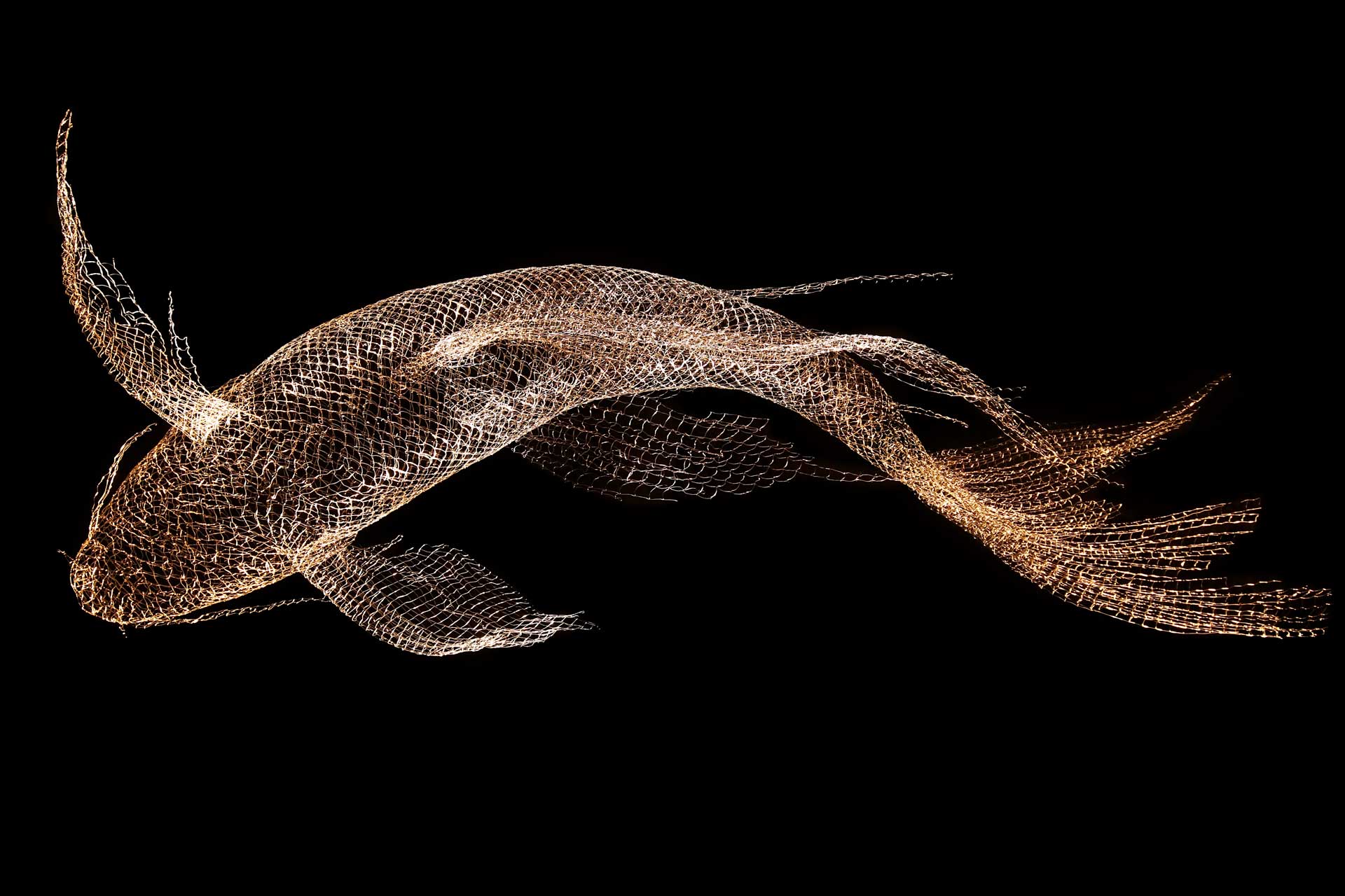 Lumière en mouvement