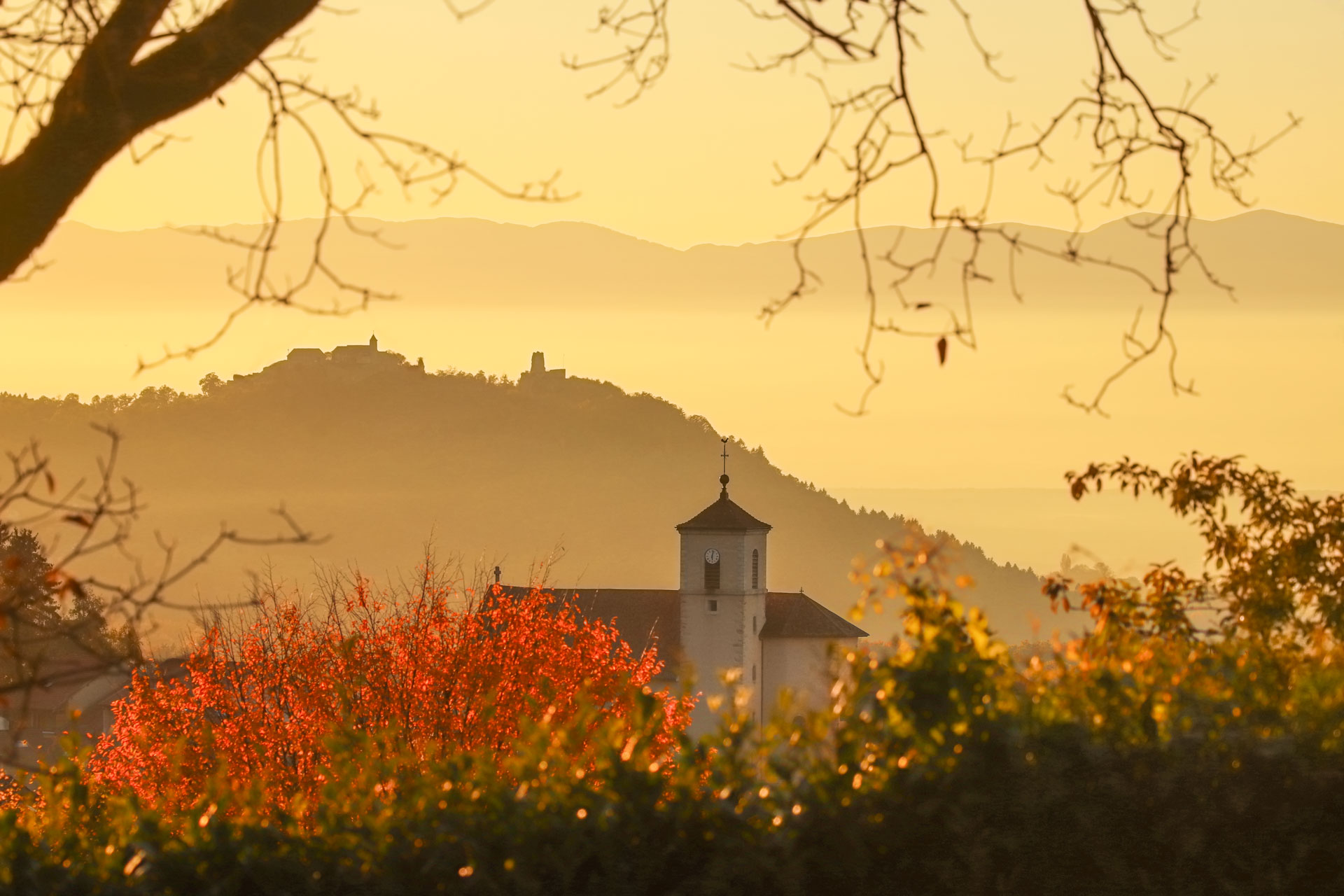 Or d'automne