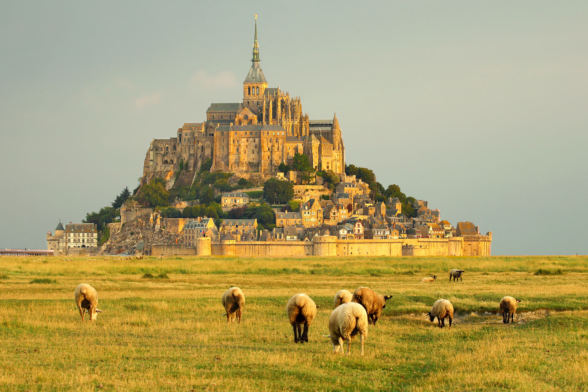 L'éveil du Mont
