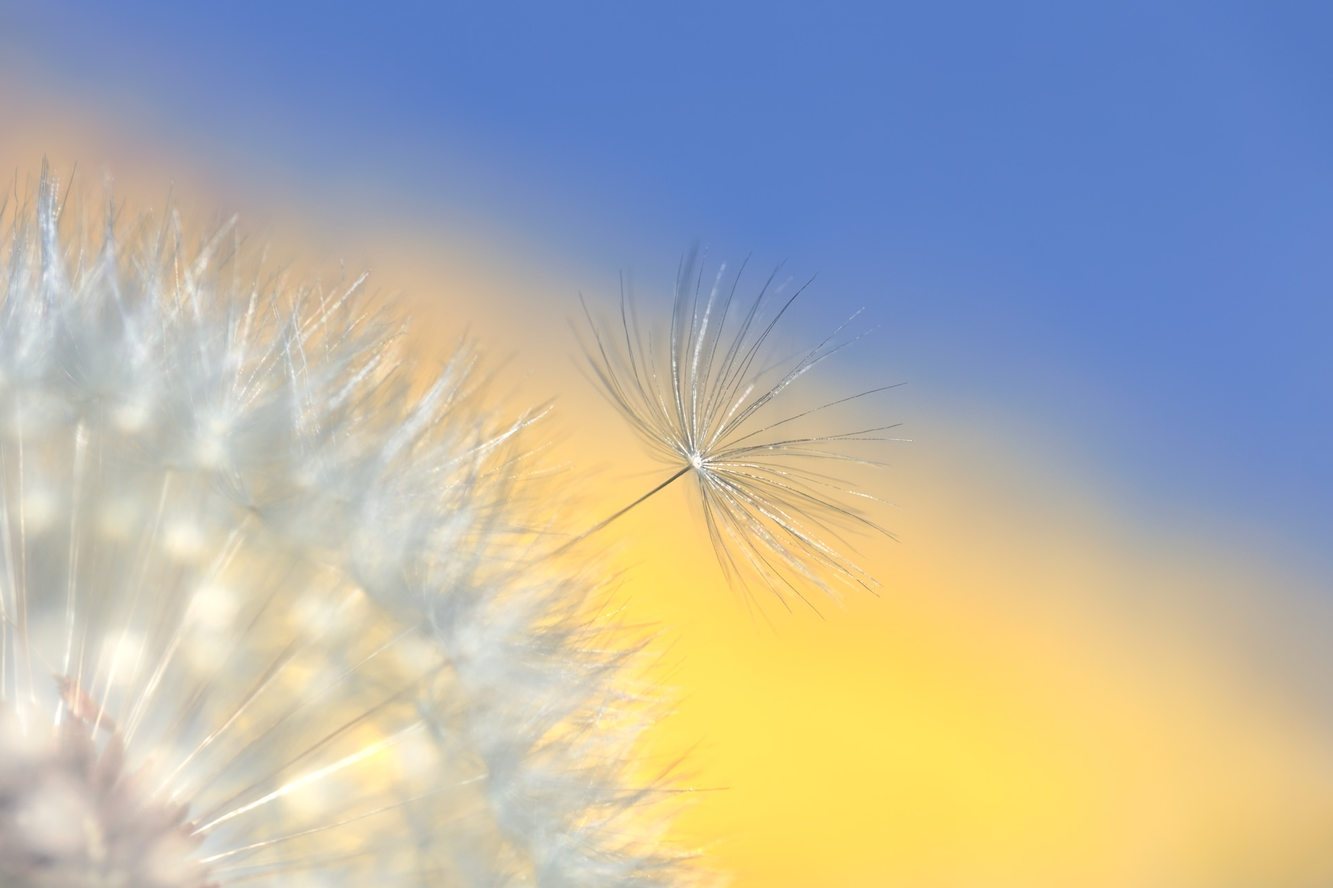 Promesse d'ailleurs