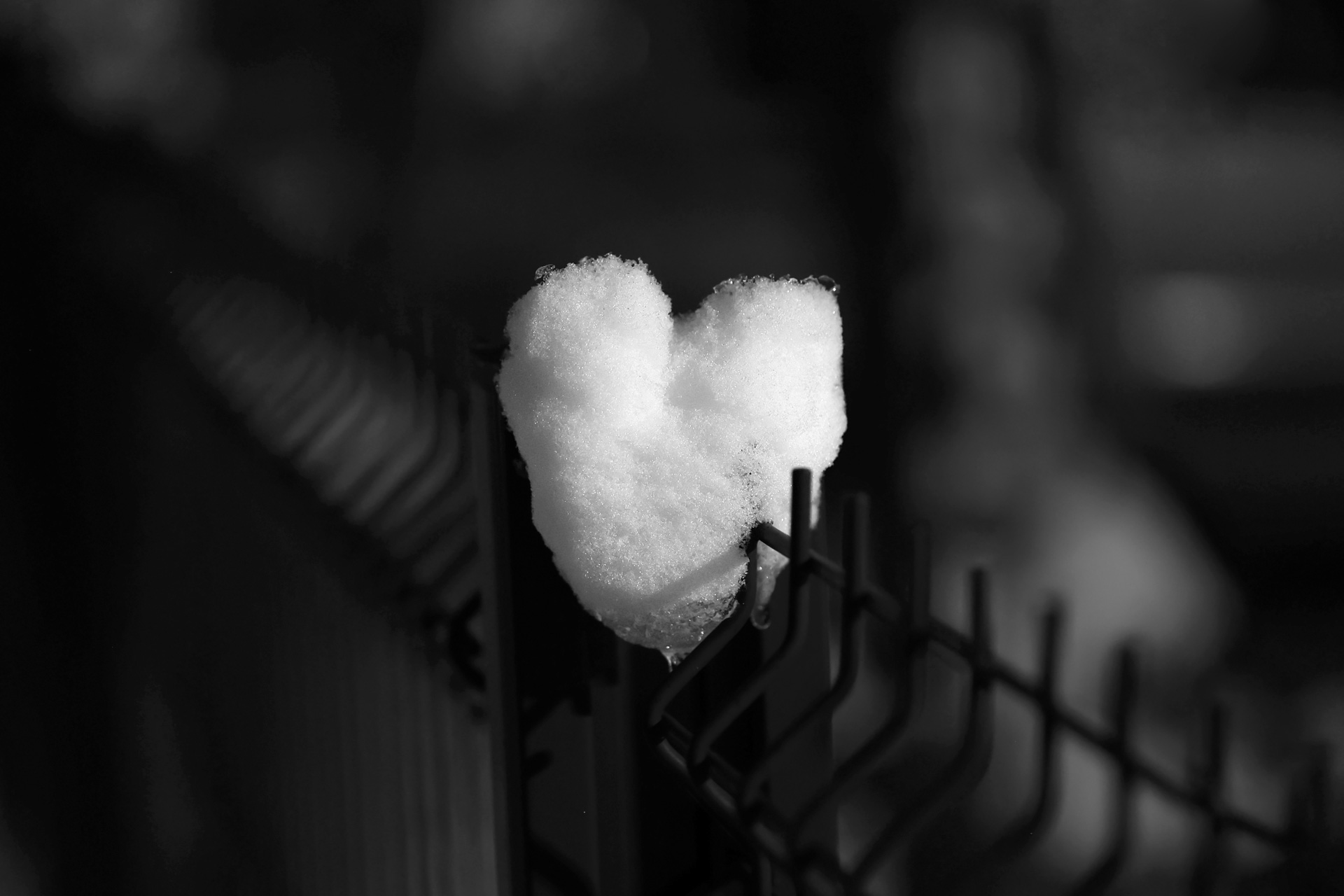 Cadeau de dame Nature