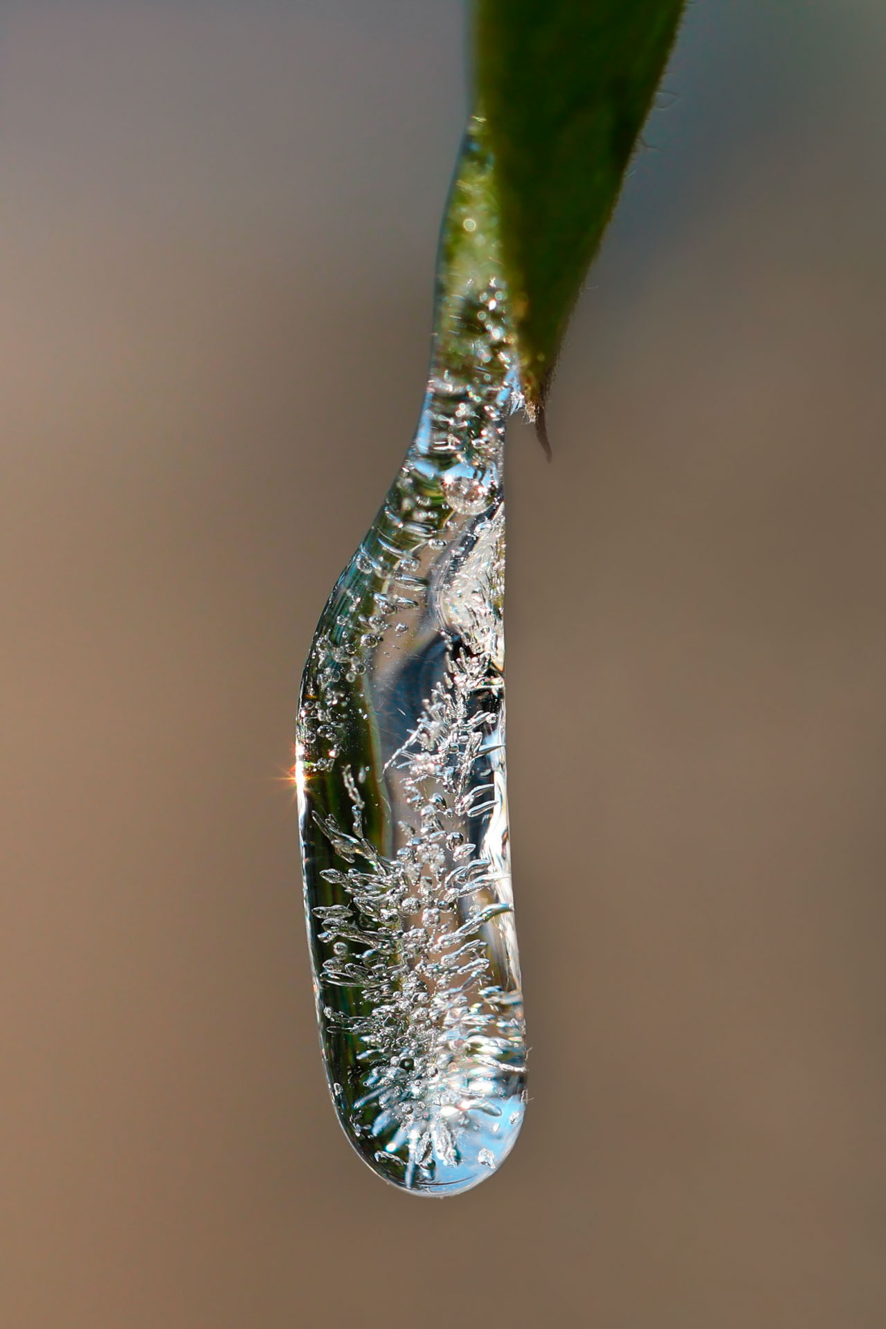 Bulles d'hiver